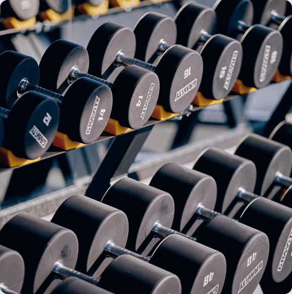 Gym-Gym